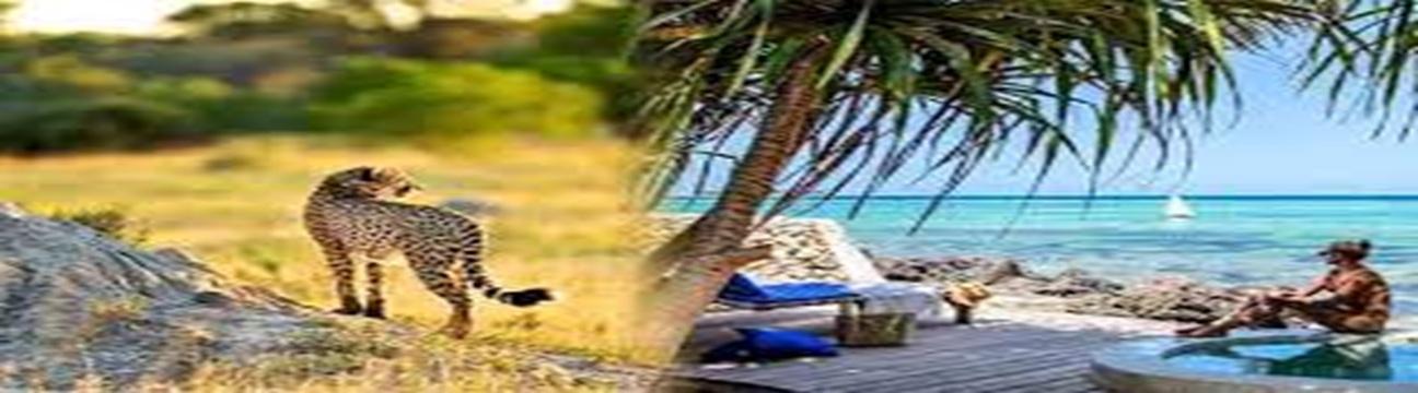 Asante Travel Group