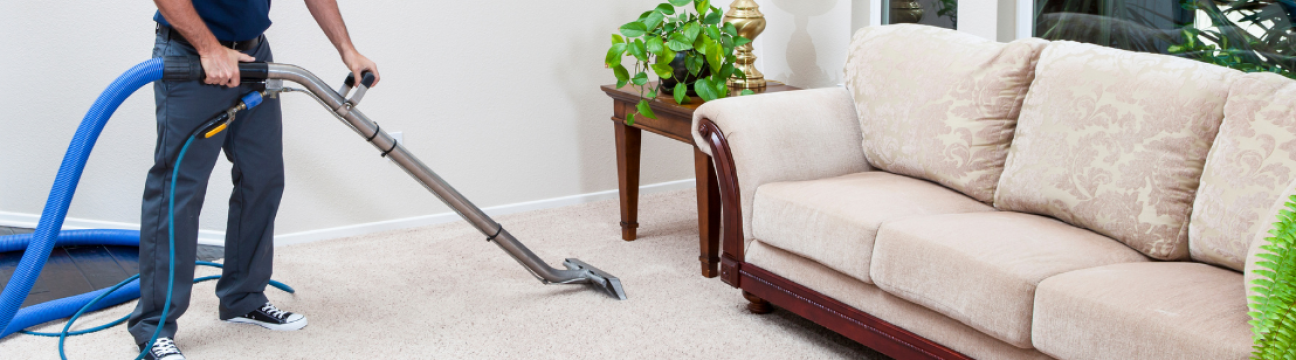 EVER STEAM CARPET CLEANING LLC