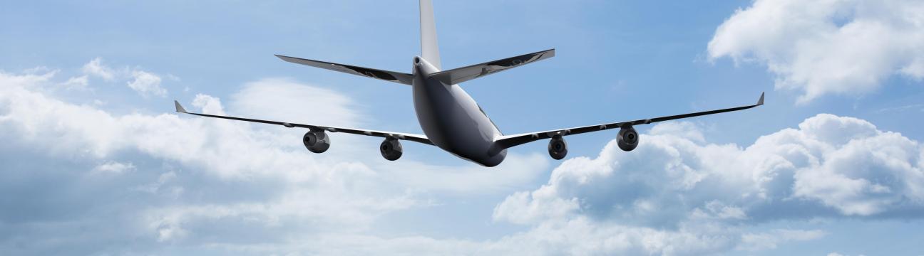 Aerofly Ticket