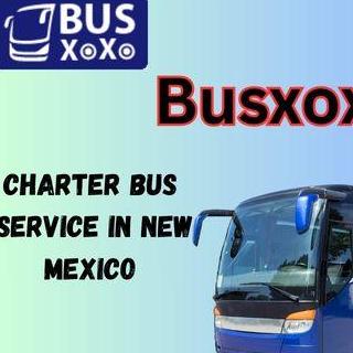Why Choose A Charter Bus For Your Next Trip To New Mexico